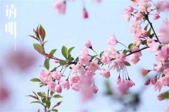 汽车音响喇叭 汽车音响喇叭