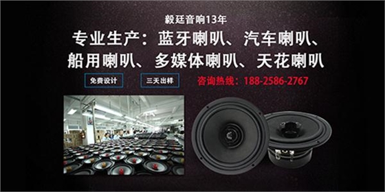 扬声器厂家