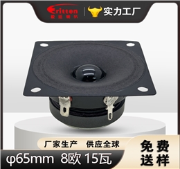 2.5 英寸方形扬声器 65×65mm 8Ω15W 纸盆全频喇叭 | beat365正版唯一官网