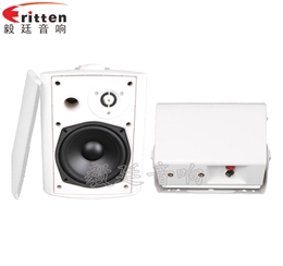 5.25寸挂壁音箱喇叭