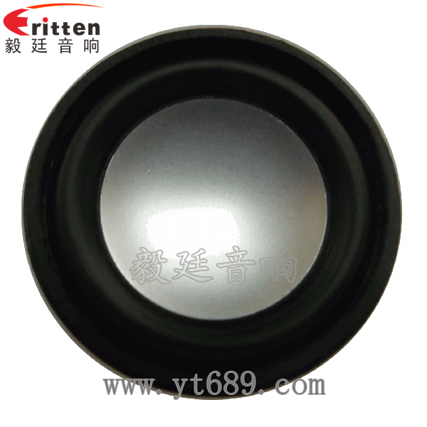 46mm5w高品质内磁学习机喇叭正面图